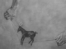 The Conjuror’s Horse