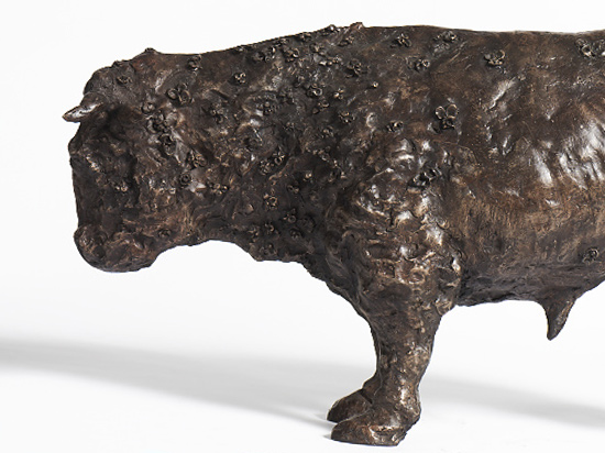 Bull with Flowers