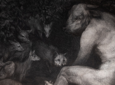 Forest of solitude and hope