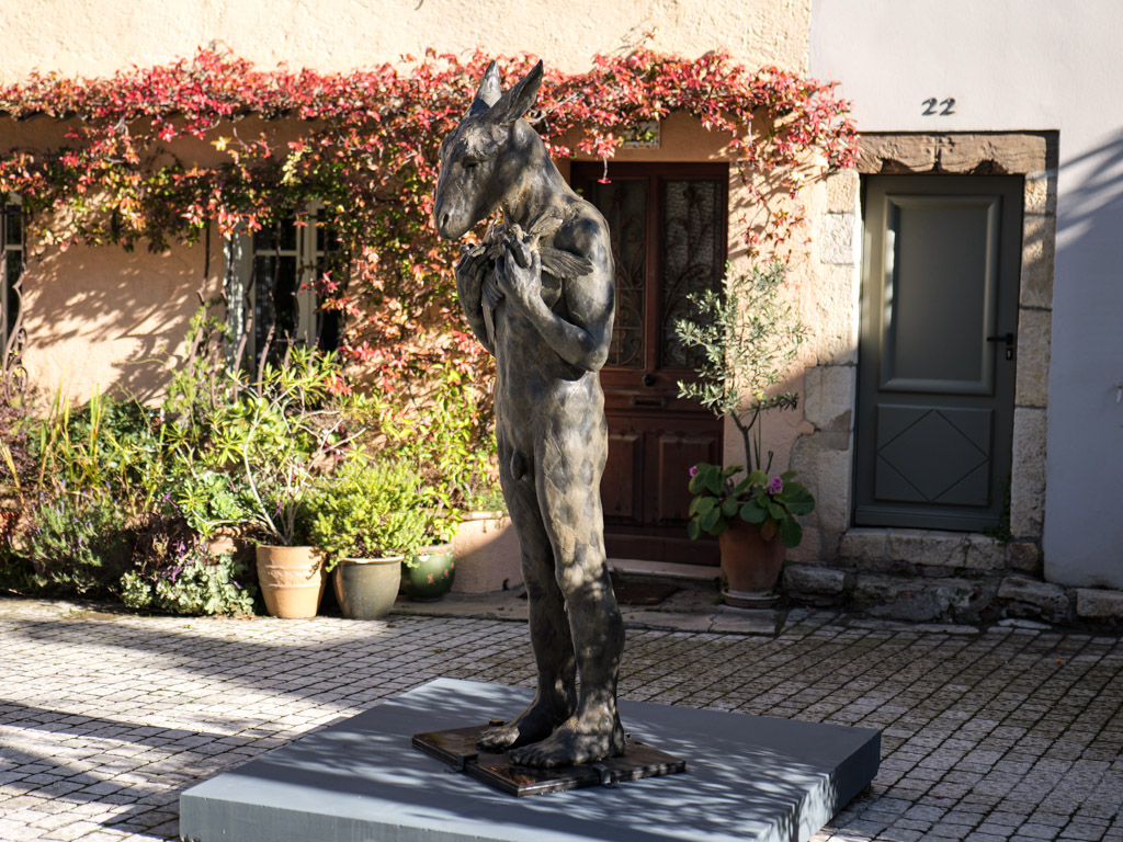 Harlequin with birds