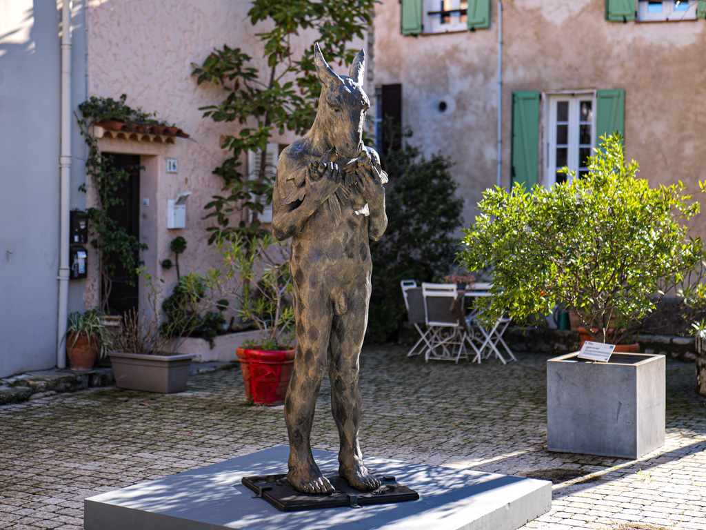 Harlequin with birds