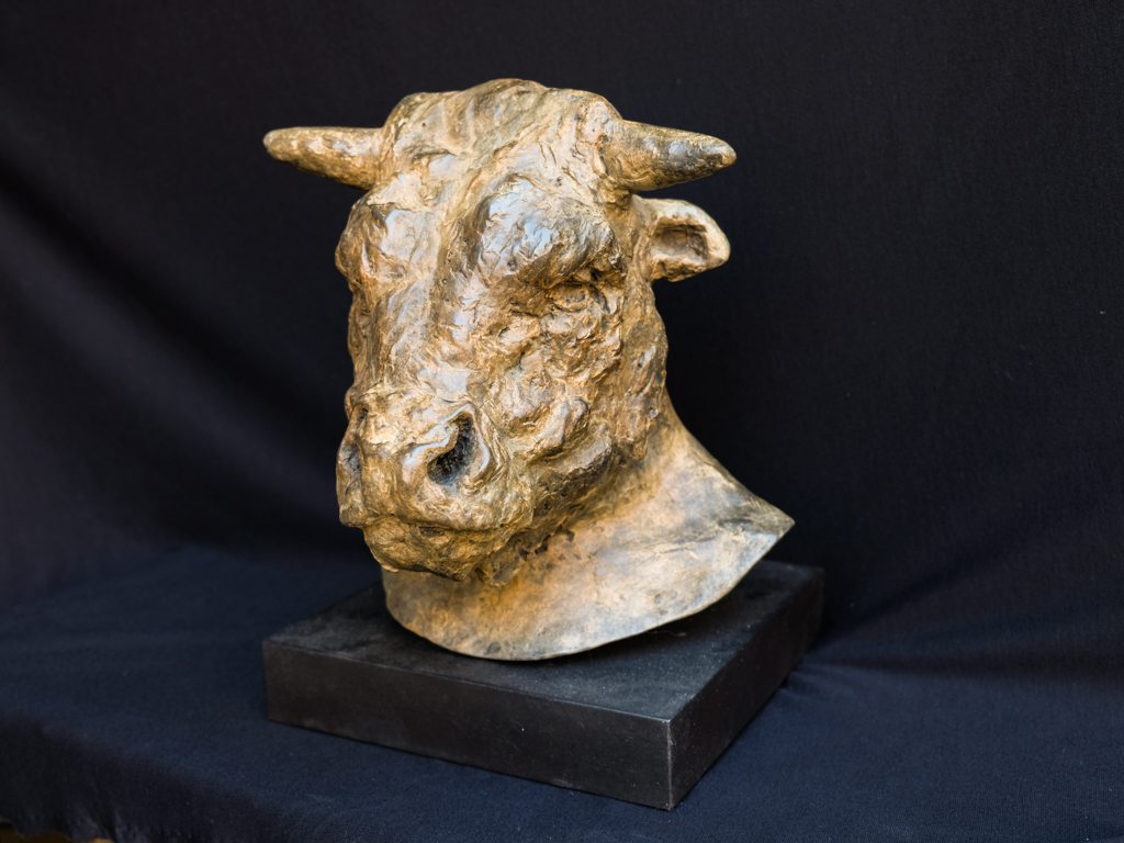 Minotaur Head